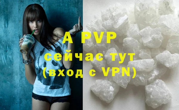 Альфа ПВП Баксан